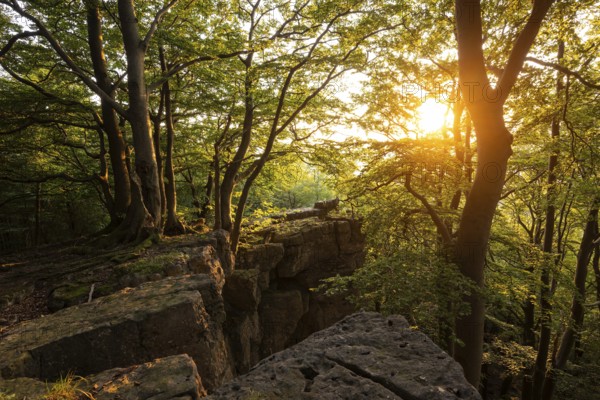 A picturesque sunset bathes the forest and rocky cliffs of the Kanstein in golden light, Thüster