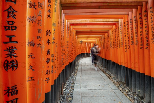 Visitors on a journey through hundreds of red traditional torii gates, Fushimi Inari-taisha, Shinto