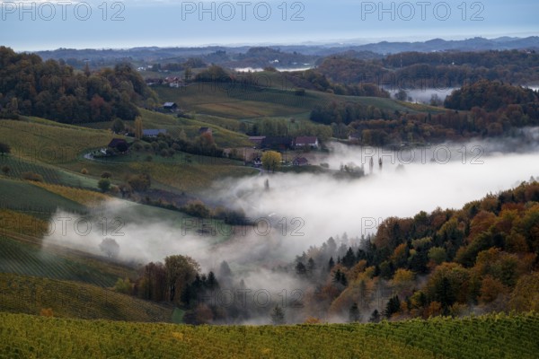 Sunrise, typical landscape in autumn with vineyards and fog, South Styrian hills, South Styrian