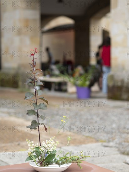 Floral arrangement made during an ikebana workshop, showcasing artistic composition and natural