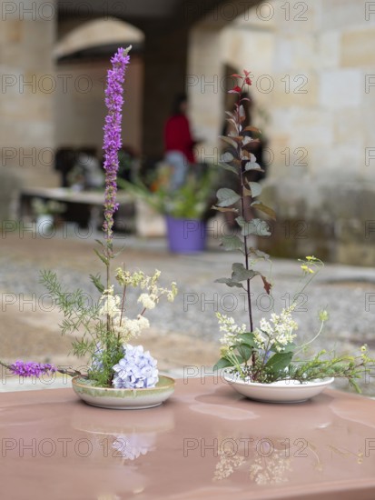 Two beautiful ikebana arrangements stand on a shiny table, reflecting their vibrant colors and