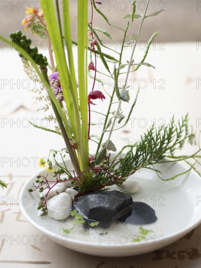 Delicate ikebana flower arrangement in a white bowl with stones and water, showcasing japanese art