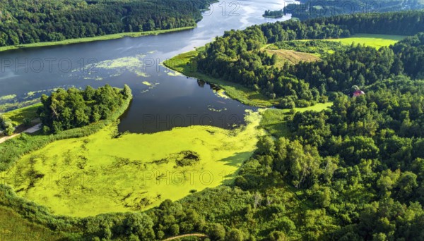 Green algae on the lake. Aerial view of nature, landscape with hills and forest in summer, cloudy