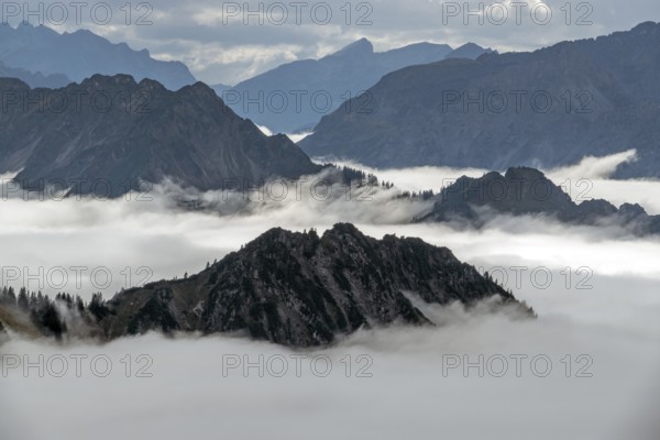 View from the Nebelhorn summit to mountains of the Allgäu Alps, mountains rising from fog in the