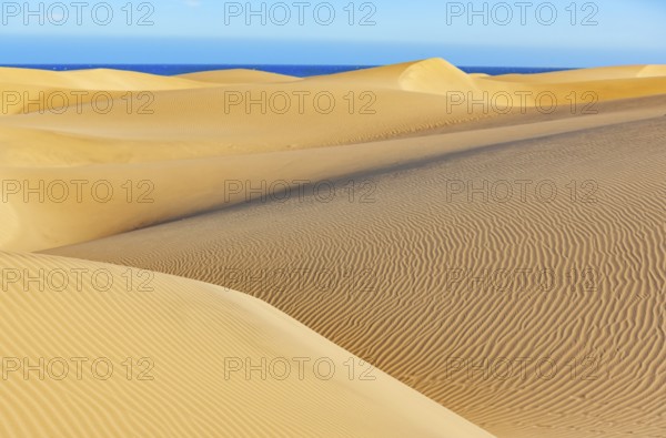 Sand dunes, Maspalomas, Playa del Ingles, Gran Canaria, Canary Islands, Spain