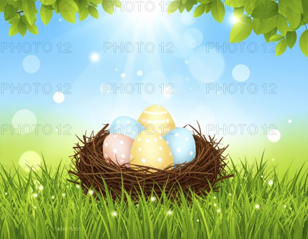 Nest with easter eggs in grass on a sunny spring day, Easter wallpaper decoration drawing, banner,