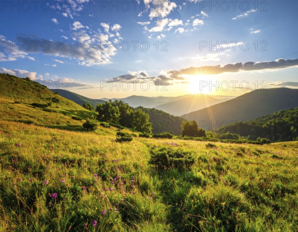 Fresh summer hilly Landscape with blooming Meadow, green plants, Blue Sky with cloudy sky, serene