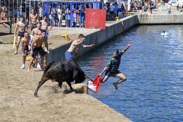 Bous a la Mar Fair, in English Bulls in the Sea, Bullfighting, Javea or Xàbia, Alicante Province,