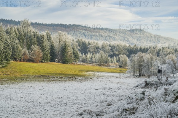 Meadow in a valley surrounded by a mixed forest with norway spruce (Picea abies) and European beech