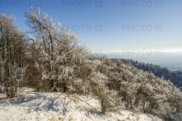View over the hills and valleys from the mountain with hoarfrost on the branches in winter, Vápec,