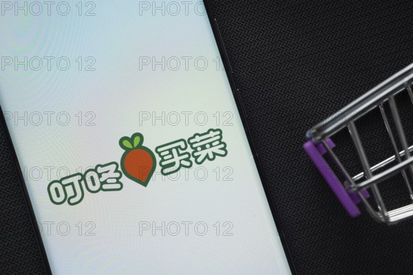 Dhaka, Bangladesh- 03 July 2025: A smartphone displaying the Dingdong Maicai logo next to a