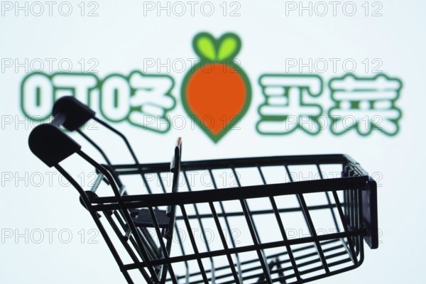 Dhaka, Bangladesh- 03 July 2025: Silhouette of a shopping cart in front of the Dingdong Maicai