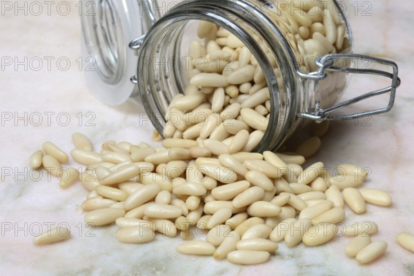 Pine nuts in glass containers, Pinus pinea