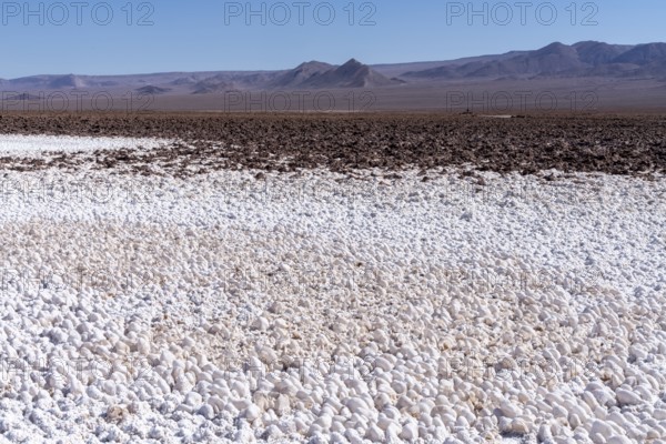 Coloured salt formations at the Lagunas Escondidas de Baltinache, Atacama Desert, Toconao, San