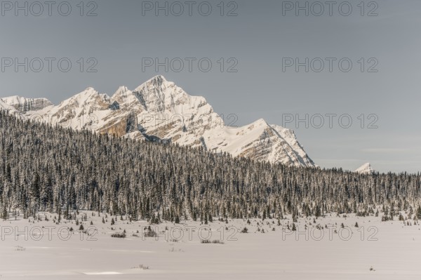Winter road trip on the Icefields Parkway with lots of snow and ice, Banff National Park, Jasper