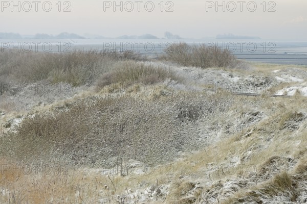 View over the snow-covered dune landscape of Norddeich, Wadden Sea at low tide, North Sea, Lower