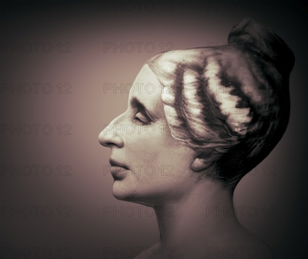 Bust of Marie-Sophie Germain, 1776 –1831, French mathematician, physicist and philosopher,