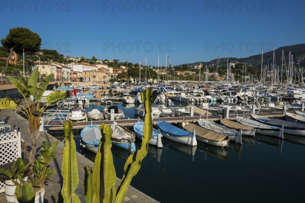 Saint-Jean-Cap-Ferrat, Cap Ferrat, Alpes Maritimes, Provence Alpes Cote d'Azur, French Riviera,