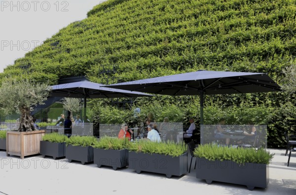 Climate protection. Europe's largest green façade 30, 000 young hornbeams thrive on the roof and