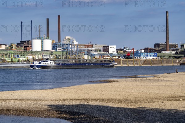 Low water of the Rhine near Leverkusen, Rhine bank, left bank of the Rhine, near Cologne-Merkenich,