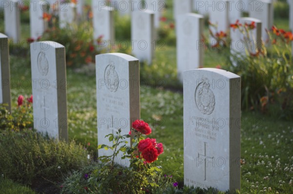 Gravestones, war graves, soldiers' graves, flowers, roses, British and German military cemetery,