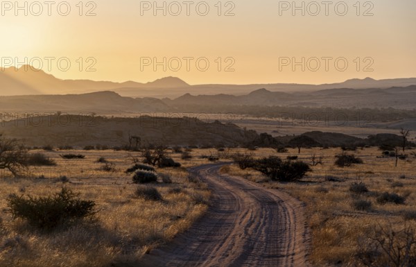 Sandy track, desert landscape in the evening light at sunset, backlit, Brandberg, Erongo,