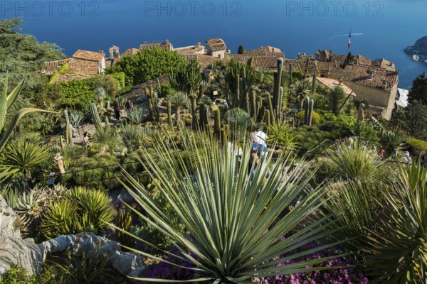 Picturesque mountain village overlooking the sea, Jardin Exotique, Èze, Cote d'Azur,