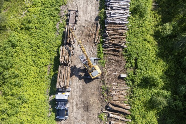 Tractor loading timber on a heavy hauler, Region of La Mauricie, Province of Quebec, Canada, North