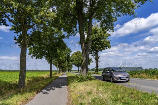 Country road south of Kampen, on the Lower Rhine, with side cycle and footpath, North