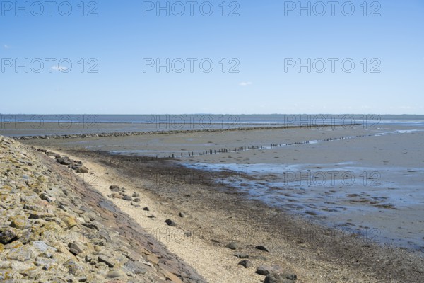 Wadden Sea at low tide, groynes, breakwater, Schleswig-Holstein Wadden Sea National Park, Pellworm