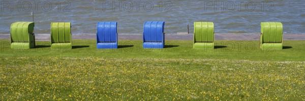 Beach chairs on a blooming meadow on the North Sea coast, Grünstrand, Pellworm Island, North Sea,