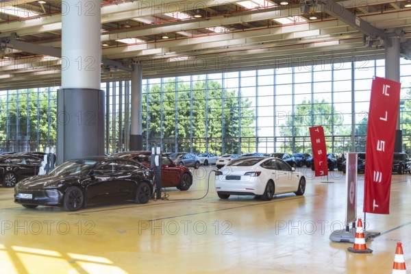 Standstill at the largest Tesla pick-up centre in Europe. Tesla's sales crisis is making itself