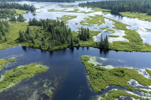 Lake and islands with vegetation, Boreal forest, Mastigouche wildlife reserve, Region of La