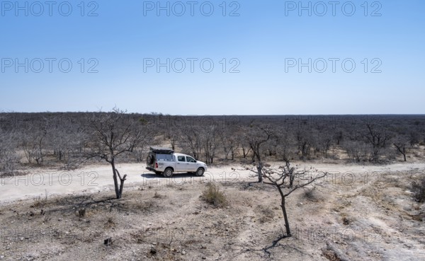 Off-road vehicle between dry bushes on a sandy track, Makgadikgadi salt pans, Botswana