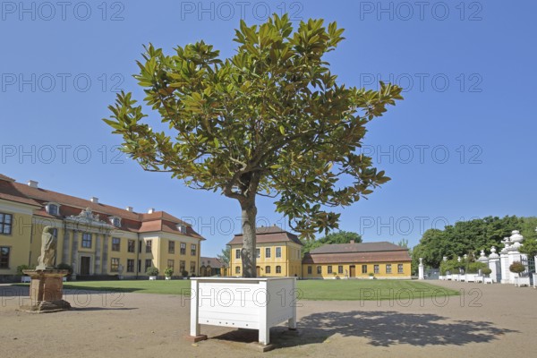 Rococo palace, inner courtyard, Mosigkau, Dessau-Wörlitz Garden Kingdom, Dessau-Roßlau,