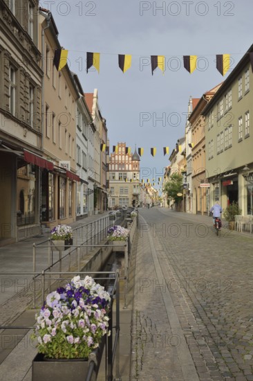 Historic pipe water in the Schlossstraße with flower decoration and houses, sewage, water pipe,