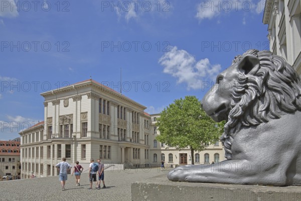 Head of lion figure and historical Melanchtonianum, palace, modern art, sculpture, lion head, lion,