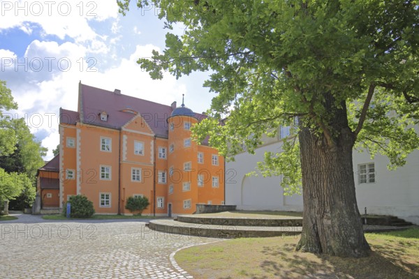 Prince's house backlit by the former Cistercian abbey, Schulpforte, Pforta State School, Bad Kösen,
