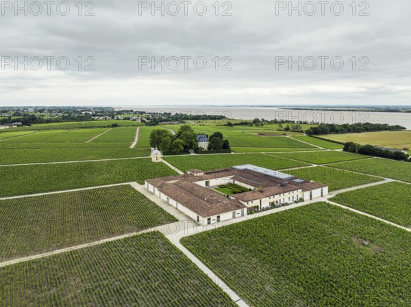 Chateau Latour Vineyard and grape fields around Pauillac from a drone, Bordeaux, Gironde,