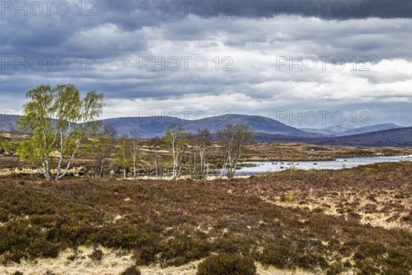 Rannoch Moor over Loch Ba and Loch of the Armpit, A82 Highland Way, Argyll and Bute, West
