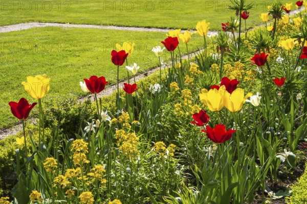 Flower bed with red and yellow tulips, castle park, Schloss Neuhaus, Paderborn, Westphalia, North