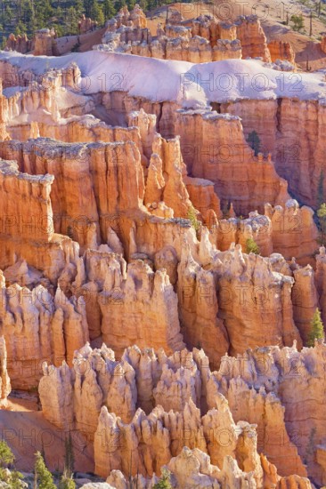 Bryce Canyon, Bryce Canyon National Park, Utah, USA