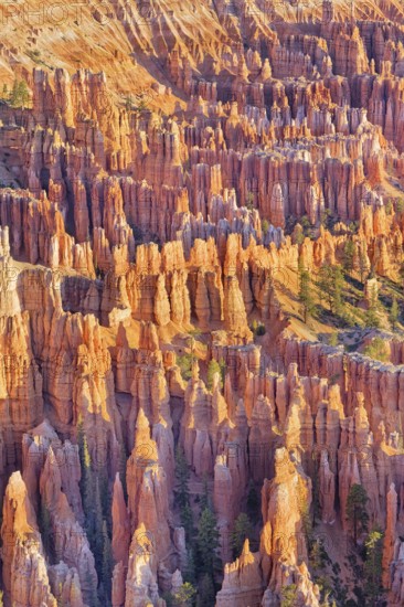 Bryce Canyon, Bryce Canyon National Park, Utah, USA