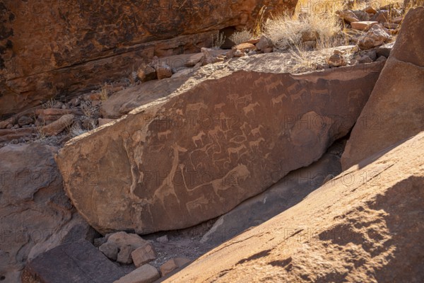 Depictions of animals on a rock slab, lion slab, rock carvings, rock engravings, Twyfelfontein,
