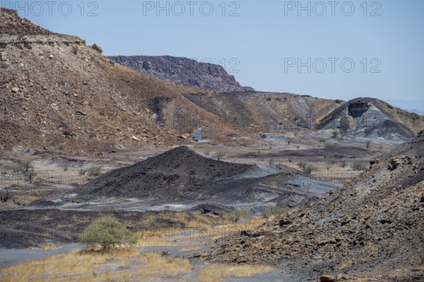 Dry landscape with yellow grass and black volcanic hills, Burnt Mountain, Damaraland, Kunene,