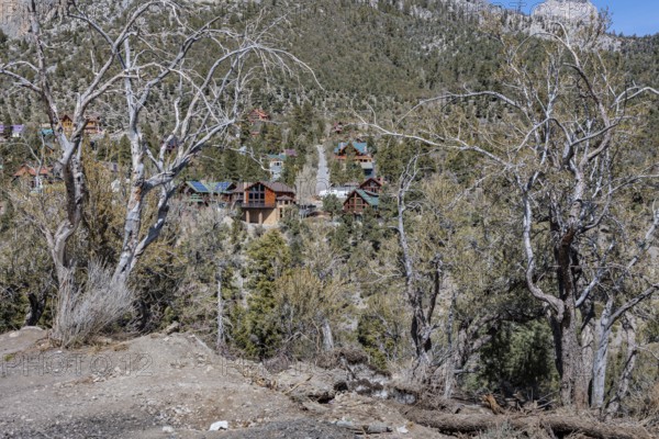 Mountainside homes and cabins in the Spring Mountains at Mount Charleston, Nevada, USA