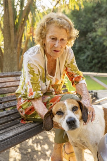 Elderly woman sitting on a park bench, gently petting her mixed breed dog while enjoying a tranquil