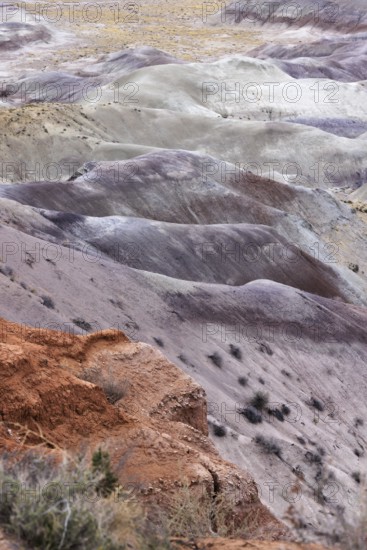 Colorful deposits of the Chinle Formation exposed at Little Painted Desert County Park near