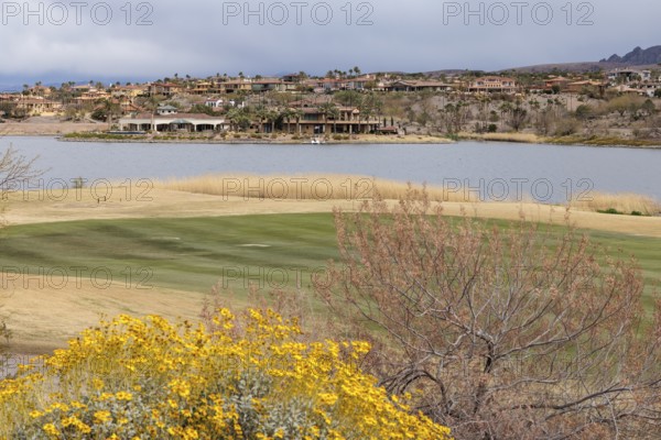 Colorful desert landscaping on a golf course along the shoreline of Las Vegas Wash at Lake Las