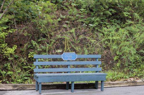 Wooden bench with sign for Designated Vaping Area at the Dollywood amusement park in Pigeon Forge,
